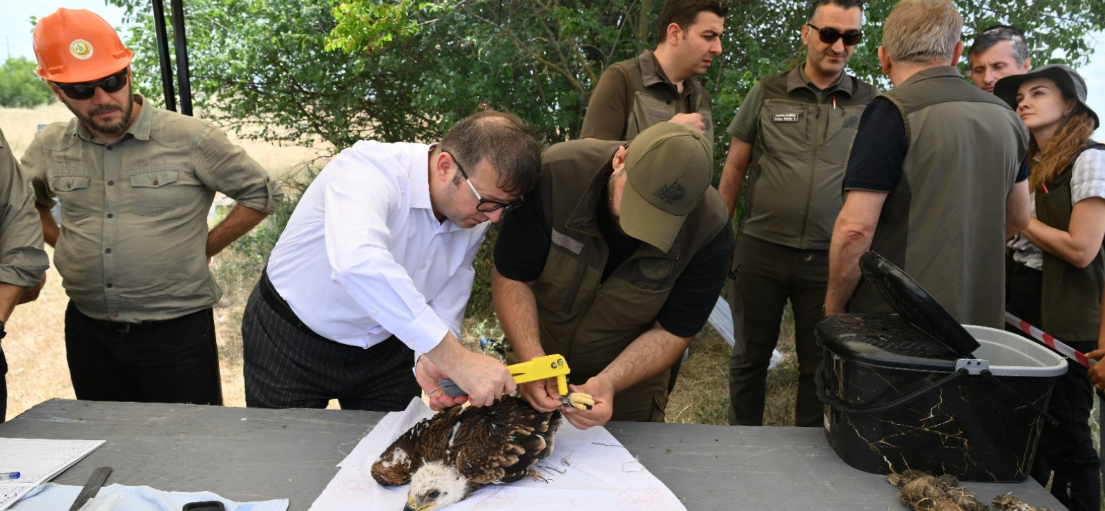 Trakya’da, leylekler ve Şah Kartal için koruma seferberliği başladı